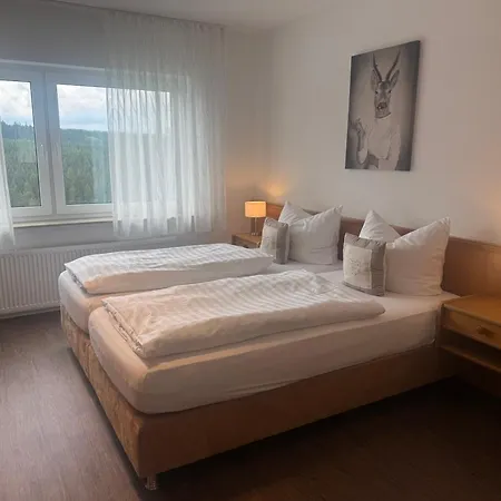 Pension Haus Astenblick-3